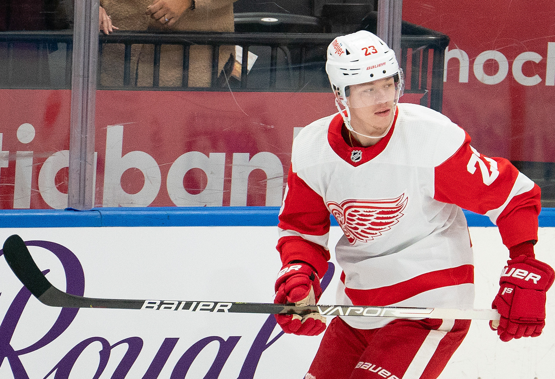 Ten bold Red Wings predictions for 2023-24 from Lucas Raymond's