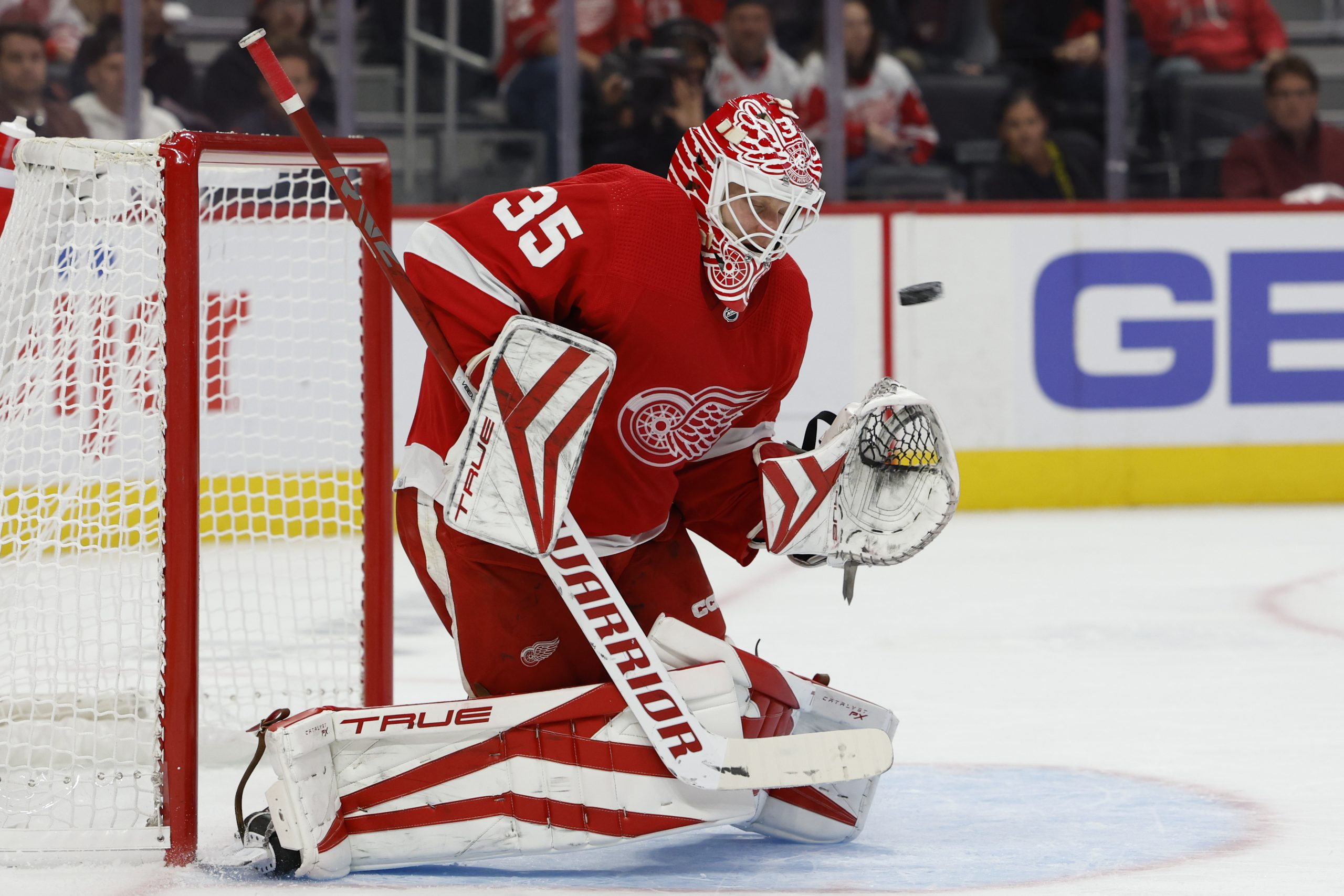 Detroit Red Wings Shouldn't Worry About Alex Nedeljkovic