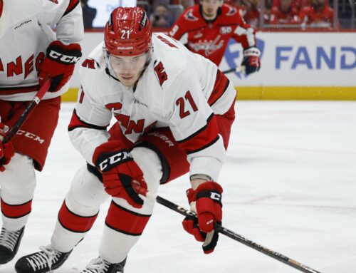 Top 50 Fantasy Prospect Defensemen – May 2025
